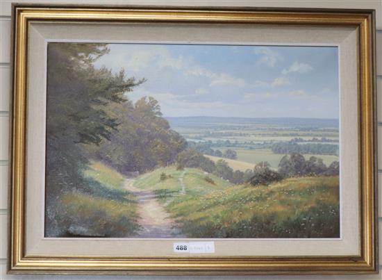 Christopher Osborne, oil on canvas, Downland Ways (Black Cap, Lewes), signed, 40 x 60cm